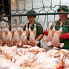 Украина запретила ввоз мяса птицы из Китая - Минкоммерции КНР.